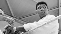 Holiday Kids Martin Luther King, Jr. Day V1-0004 Instructional Video