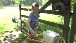 Girl sells eggs to help children's hospice affected by coronavirus News Clip