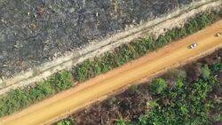 Drone aerials of destroyed Amazonian rainforest after forest fires News Clip