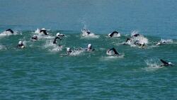 I WONDER - Did Ancient Roman Schools Teach Sports? Instructional Video