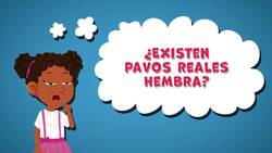 I WONDER - Are There Female Peacocks? Me Pregunto - Existen Pavos Reales Hembra? Instructional Video