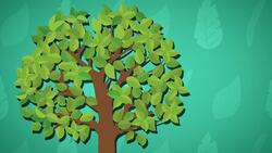 I WONDER - Why Are Leaves Green? Instructional Video