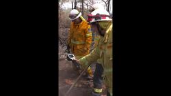 Australia's firefighters scramble to keep fires from reigniting News Clip
