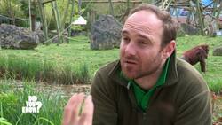 Animal Self-Awareness and Sleep Secrets Instructional Video