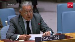 “Our main adversary…” Pak at UNSC levels serious allegation against India over cross-border attacks News Clip