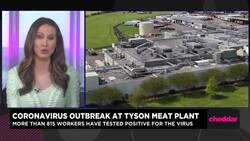 Coronavirus Outbreak at Tyson Meat Plant News Clip