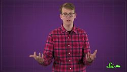 The Awesome Bug That Lives on Frozen Volcanos Instructional Video