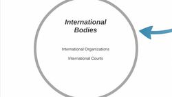 International Law (Intro) Instructional Video