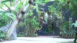 CLEAN : Surprises in store as Paris Zoo reopens to the public News Clip