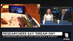 Feeding Our Curiosity With Curiosity.com News Clip