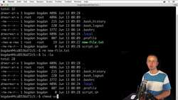 The Complete Practical Docker Guide - Creating Executable Script Instructional Video
