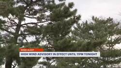 Wicked winds blast New York City; advisory in effect until 11 p.m. News Clip