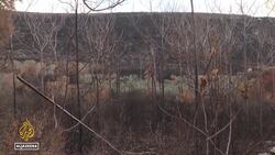 Lebanon-Israel border tensions: Lebanese farmers hit by continuing conflict News Clip