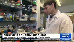 CDC warns of norovirus surge in parts of the US News Clip