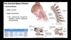 Cervical Flexion & Extension BIOMECHANICS Instructional Video