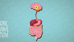 I WONDER - How Do You Know When Your Stomach Is Full? Instructional Video