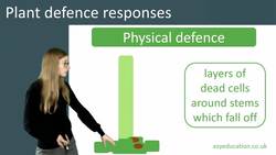 Plant Defense Responses: Physical, Chemical, and Mechanical Adaptations Instructional Video