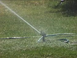 Sustainability and Natural Resources: Sustainability and Natural Resources Instructional Video