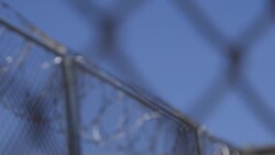 Fact check: Donald Trump's RNC speech featured numerous falsehoods News Clip