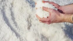 in an Italian professional kitchen a chef pours salt on a dish or in the water to boil the Italian pasta concept of healthy and light food. Stock Footage