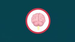 Medicare's Coverage Gaps and Out of Pocket Costs Instructional Video