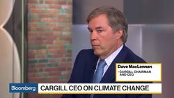 U.S. Soybeans Caught in the Cross Hairs of Trade War News Clip