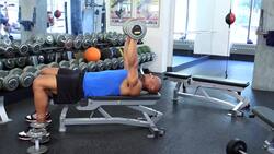 How to Do Weight Bench Exercises at the Gym Instructional Video