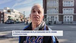 Dozens of swastikas found at Gravesend Park; two teens arrested News Clip