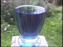 Understanding Diffusion in Cells Instructional Video