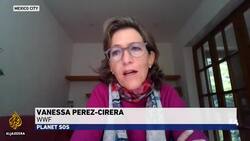 World leaders push for supporting poorer countries against climate change News Clip