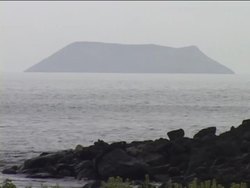 Understanding Adaptations and Natural Selection Instructional Video