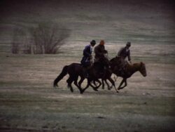 THE PLAINS OF MONGOLIA, AUGUST 1978 Stock Footage