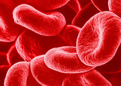 Haemoglobin Instructional Video