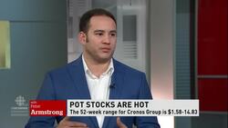 Ramping up in pot News Clip