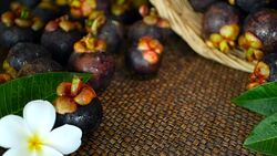 Top view of fresh delicious harvested mangosteens on wooden table. Thai organic purple fruit in the basket. Exotic natural blurred background with tropical flower. Healthy food and eating concept. Stock Footage
