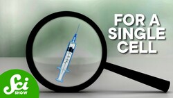 A Needle So Tiny It Injects Into A Single Cell Instructional Video