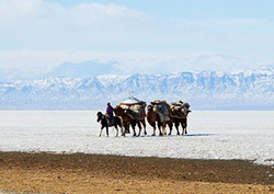 Extreme Living: Nomads Instructional Video