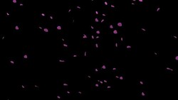 particle flower Stock Footage