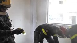 CLEAN : Albania/Earthquake: French rescuers search for victims in the rubble News Clip