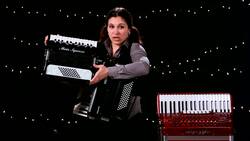 Different Types of Piano Accordions Instructional Video