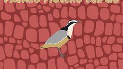I WONDER - What Is A Symbiotic Relationship? Me Pregunto - Qué Es Una Relación Simbiótica? Instructional Video