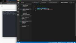 The Modern JavaScript Bootcamp (2019) - Logical "And" and "Or" Operators Instructional Video