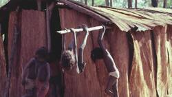 Australia Indigenous Vote Faces Defeat News Clip