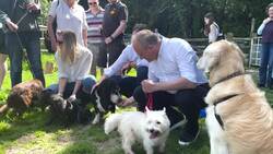 Sir Ed Davey goes on a dog walk with Lib Dem supporters in Hampshire News Clip