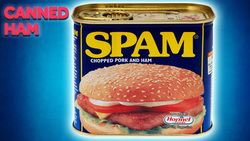 How Has SPAM Stayed So Popular? Instructional Video