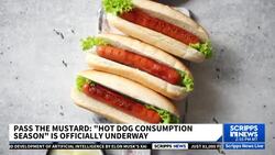 7 billion hot dogs expected to be consumed by Americans this summer News Clip