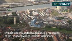 Leaking German Shipwreck From The 40's Instructional Video