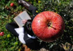 ¿Qué es la gravedad? Instructional Video