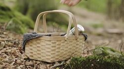 Woman picking mushrooms and drinking coffee in the forest Stock Footage