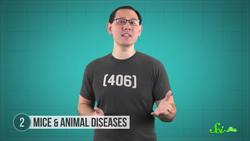 6 Animal Noses That Outsniff Dogs Instructional Video